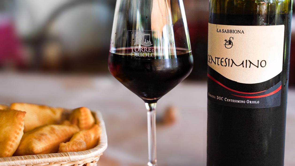 Agriturismo E Cantina La Sabbiona Faenza Eksteriør billede