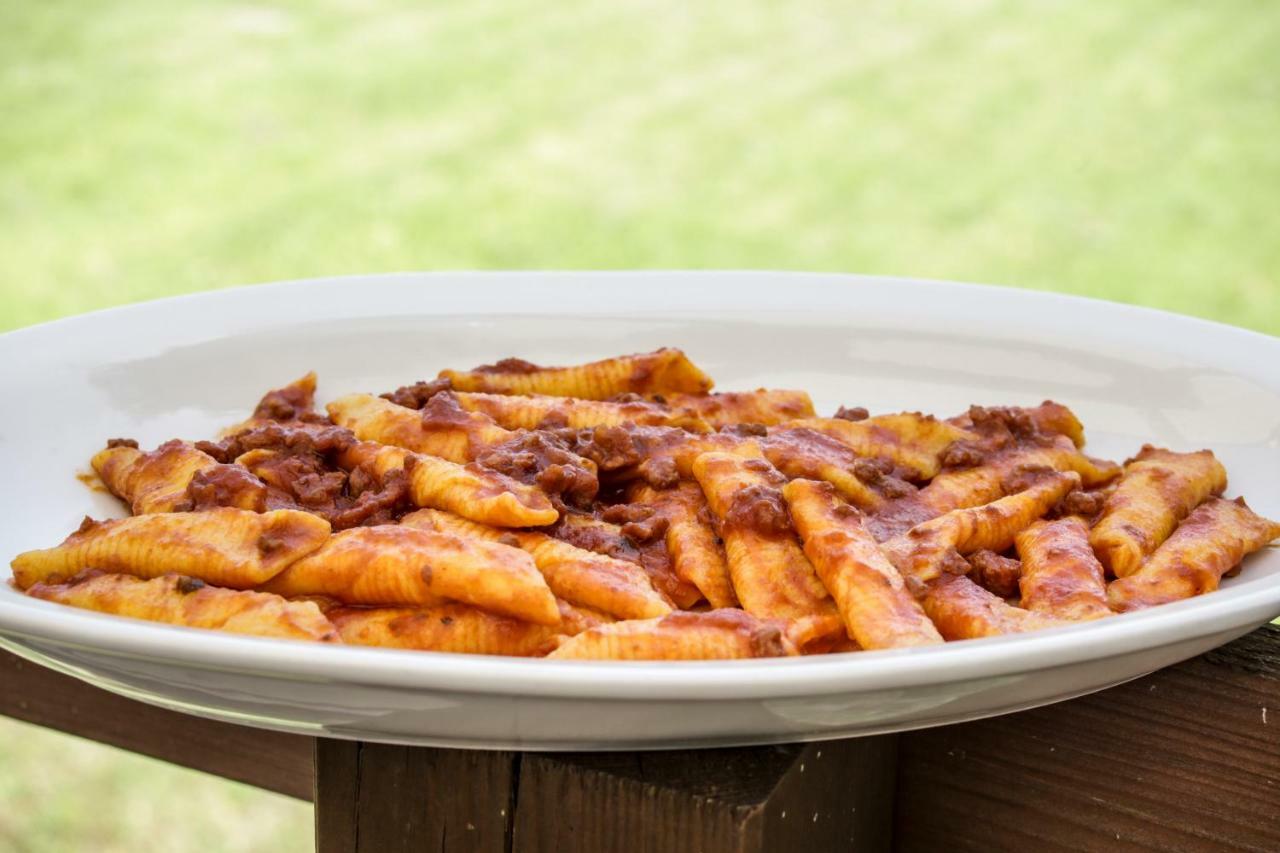 Agriturismo E Cantina La Sabbiona Faenza Eksteriør billede