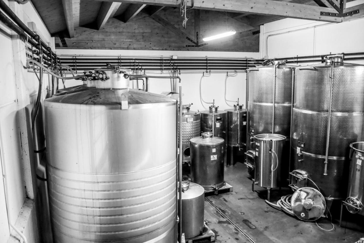 Agriturismo E Cantina La Sabbiona Faenza Eksteriør billede